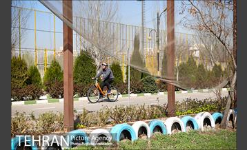 تور عکاسی از منطقه 16