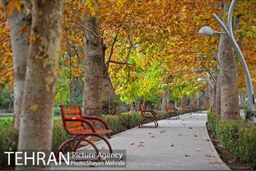 پاییز در پارک های تهران 14