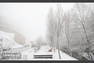 بارش برف زمستانی در تهران 33