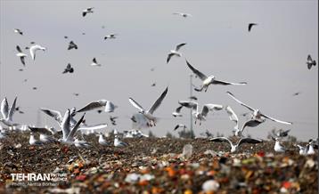 تور بازدید عکاسان از مجتمع آرادکوه 18