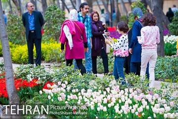روش گل های لاله در باغ ایرانی 4
