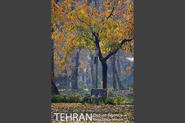 پاییز در پارک شهر 29