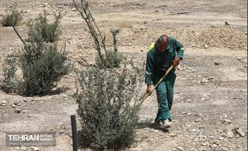 اینجا کارگاهه؛ پروژه بام ری 33