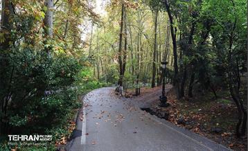 طبیعت پاییزی مجموعه فرهنگی تاریخی سعدآباد  44