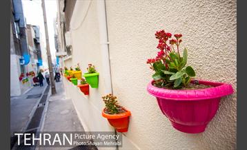 کوچه امیدی رنگ نوروز گرفت 34