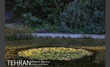 باغ گیاه شناسی ملی ایران  19