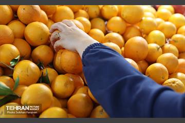 یلدای مادران 18