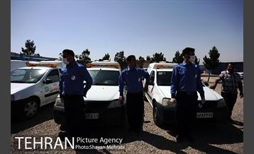 نقاهتگاه سگ های بدون صاحب واقع در آراد کوه 1