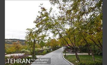 طبیعت پاییزی بوستان فدک 4