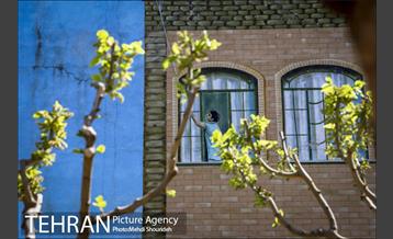 رنگ و بوی بهاری در خیابان های منطقه 7