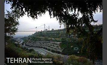 بوستان نهج البلاغه (فاز2) 38