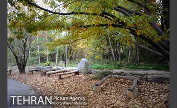 باغ گیاه‌شناسی ملی ایران 17