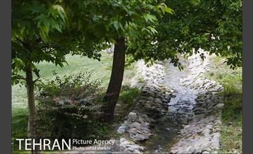 بوستان پلیس 9