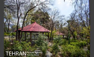 بوستان نیاوران 1