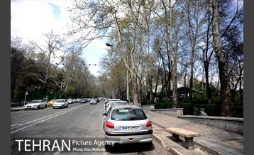 بوستان نیاوران 34