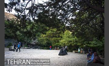 بوستان جمشیدیه 33