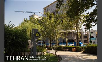 بوستان نیاوران 16