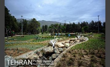 آئین بهره برداری از باغ راز هستی در منطقه 22 34