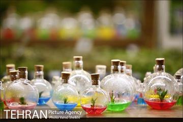 افتتاح هفدهمین نمایشگاه بین المللی گل و گیاه تهران  33