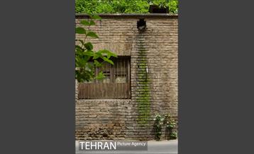پنجره های شهر تهران 7