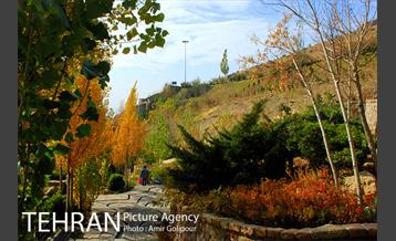 آبشار رنگارنگ 37