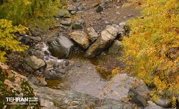 هوای پاییزی پایتخت 25