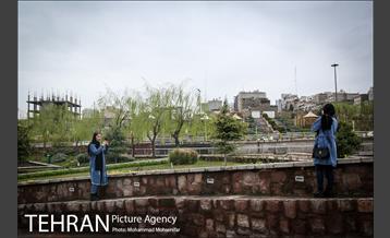 بوستان نوروز 15