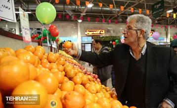 بازدید مدیرعامل سازمان تره‌وبار از میادین میوه 26
