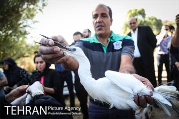 آزادسازی پرندگان و جمع آوری زباله در پارک جنگلی خجیر 10