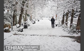 بارش برف زمستانی در تهران-2 15