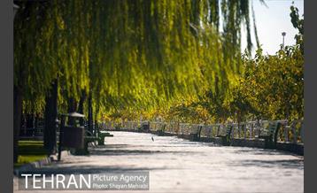 بوستان جوانمردان 9