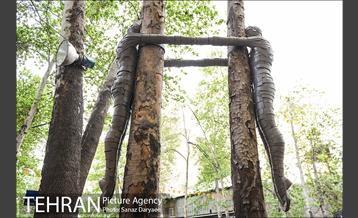 جشنواره بهارستان 32