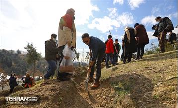 آیین کاشت گیاهان بومی پایتخت در برج میلاد 4