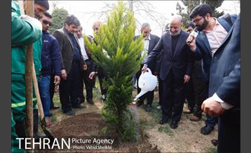 مراسم کاشت نهال در هفته منابع طبیعی (درخت فرهنگ و هنر) 18