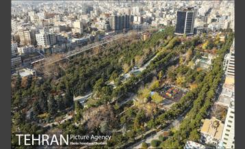 روزهای آفتابی زمستان 13