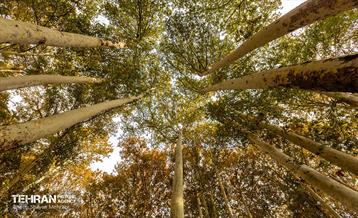 رود دره فرحزاد 4