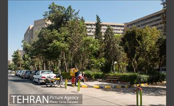 شهرک اکباتان‎ 11