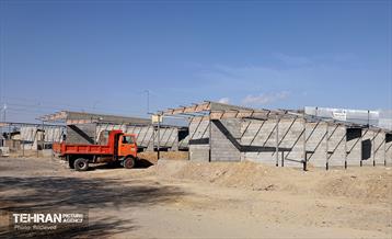 اینجا کارگاهه؛ بازار پرندگان خلیج فارس 10