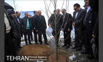 مراسم روز درختکاری با حضور شهردار تهران و رئیس مجلس 26