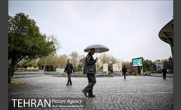 بارش باران بهاری در تهران 9