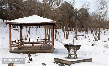 روز برفی در منطقه 13 14