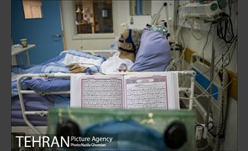 جان تو و جان شهر 11