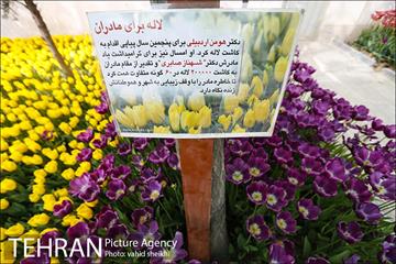 پیاده راه لاله برای مادران 19