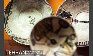 موزه علوم زمین 31