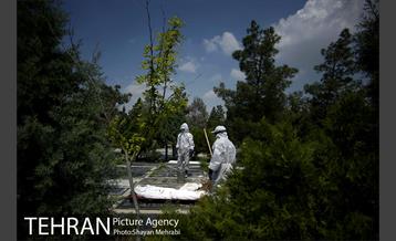 تطهیر و تدفین جانباختگان کرونایی در بهشت زهرا(س) 36