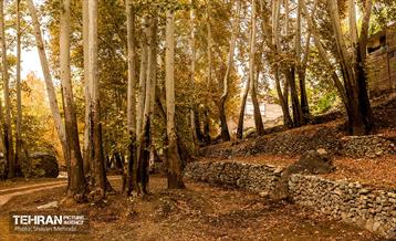 رود دره فرحزاد 41