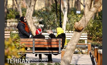 باغ ایرانی 17