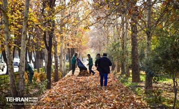 گذرگاه های پاییزی پایتخت - منطقه 14