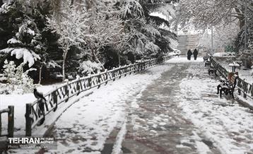 صبح برفی بوستان ملت 24