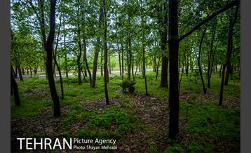 باغ گیاه‌شناسی ملی ایران 31
